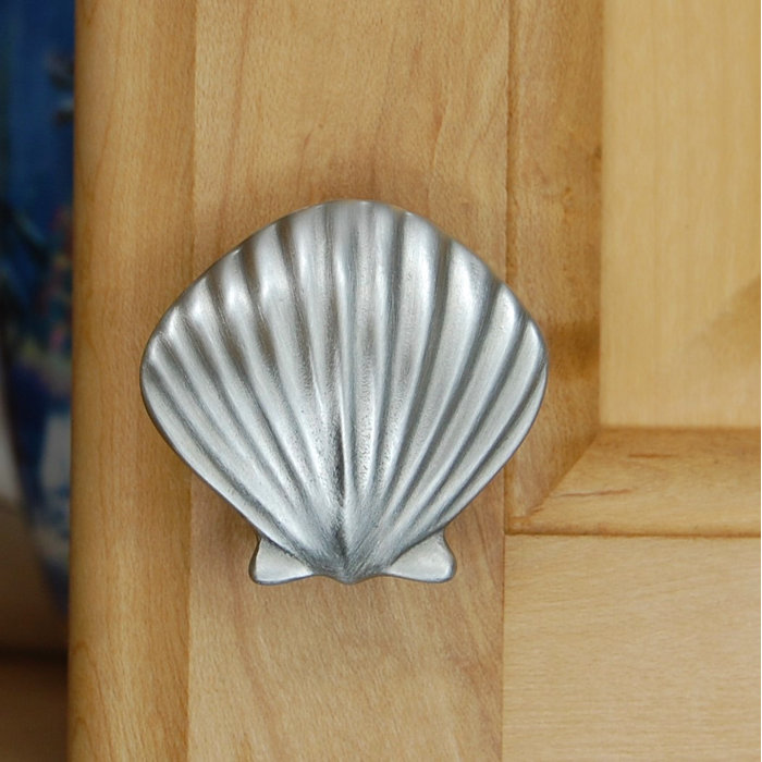 Sea Life Knobs 1 1/2" Seashell Knob & Reviews Wayfair